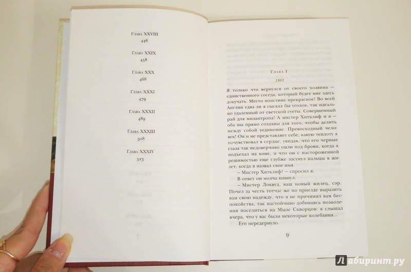 Иллюстрация 24 из 30 для Грозовой перевал - Эмили Бронте | Лабиринт - книги. Источник: Ирина