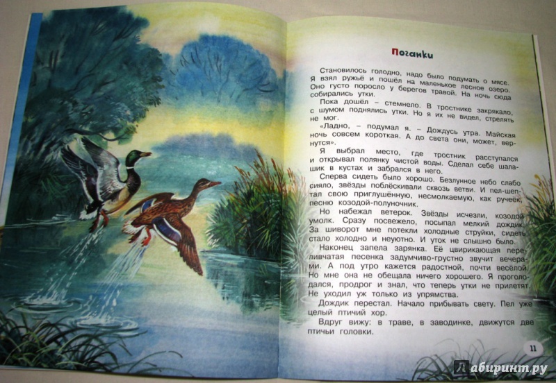 Иллюстрация 24 из 54 для Непонятный зверь - Виталий Бианки | Лабиринт - книги. Источник: Бог в помощь