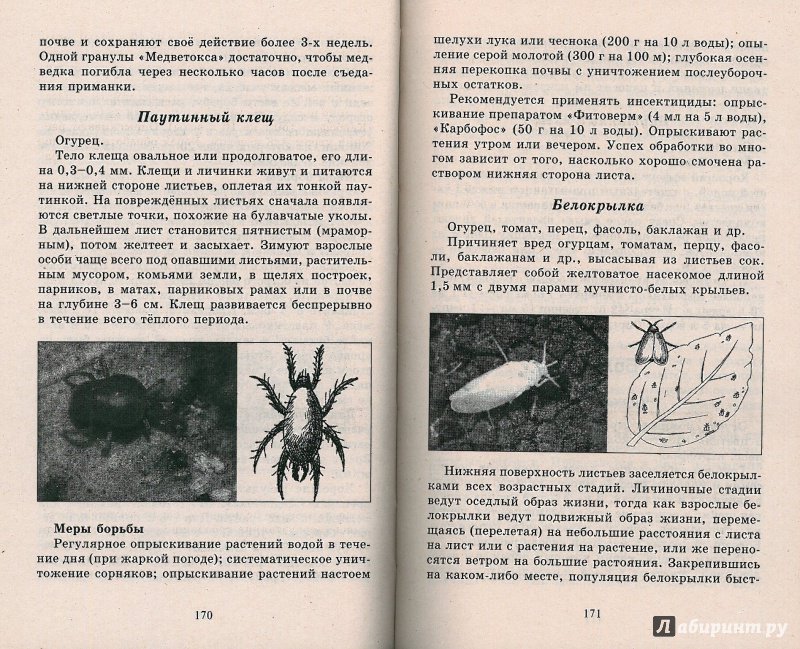 Иллюстрация 21 из 31 для Урожайные теплицы и парники. Своими руками - Сергей Малай | Лабиринт - книги. Источник: Don Serjio