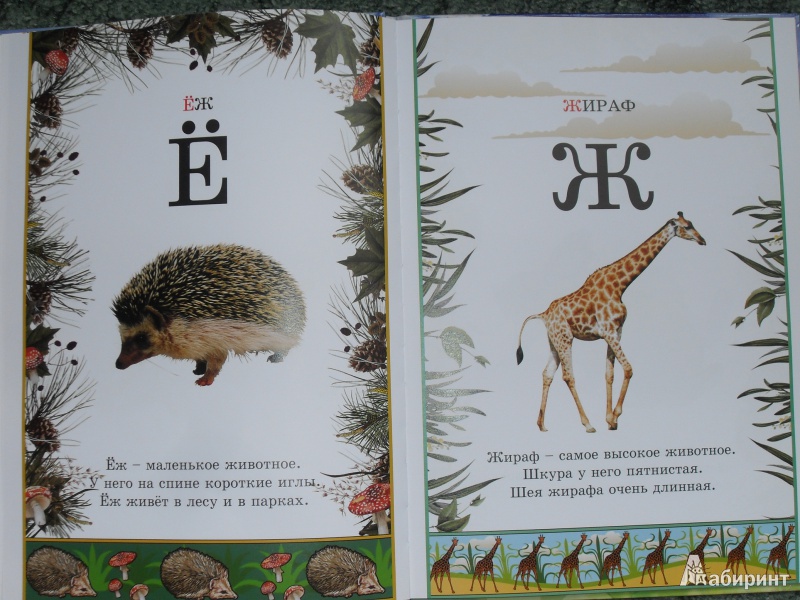 Иллюстрация 8 из 34 для Иллюстрированная азбука животного мира | Лабиринт - книги. Источник: zhukova_vika