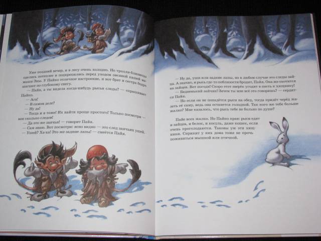 Иллюстрация 6 из 15 для Следы на снегу - Сиссель Бёэ | Лабиринт - книги. Источник: Nemertona