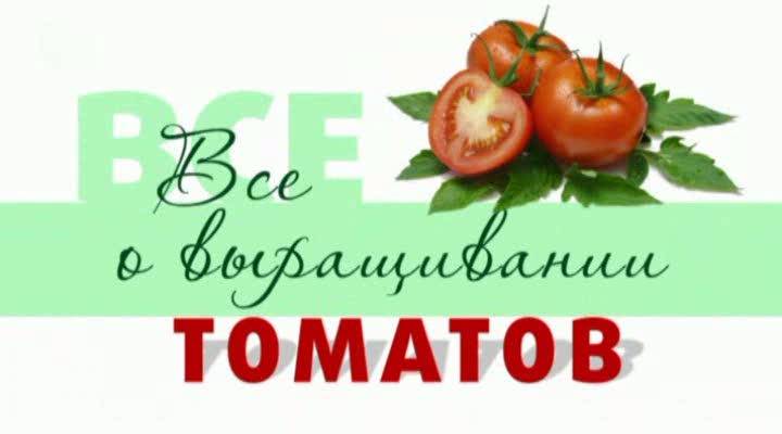 Иллюстрация 1 из 4 для Все о выращивании томатов (DVD) - Игорь Пелинский | Лабиринт - . Источник: Флинкс