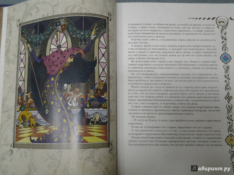 Иллюстрация 18 из 26 для Волшебные сказки Германии - Гримм Якоб и Вильгельм | Лабиринт - книги. Источник: Olga