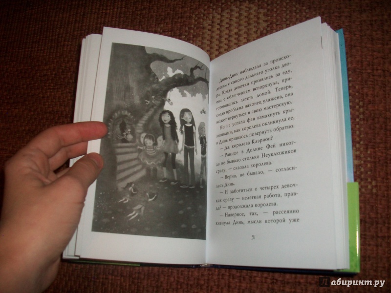 Иллюстрация 23 из 35 для Знакомство с феями - Кики Торп | Лабиринт - книги. Источник: Надежда