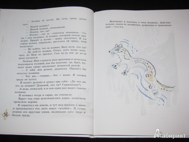 Иллюстрация 39 из 46 для Заячьи тропы - Юрий Коваль | Лабиринт - книги. Источник: Nemertona