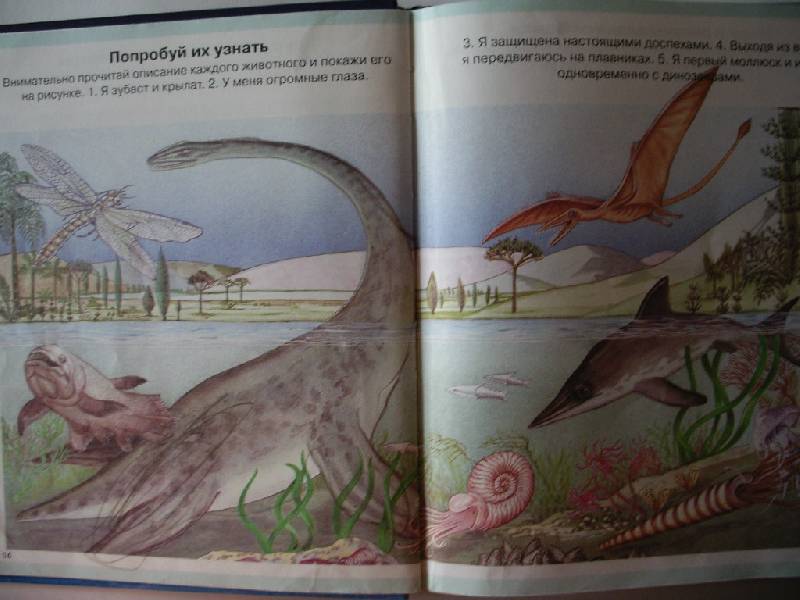 Иллюстрация 32 из 45 для Тайны моря - Мари-Рене Пимон | Лабиринт - книги. Источник: Tiger.