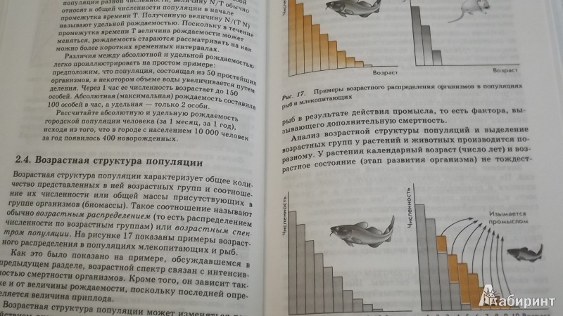 Иллюстрация 10 из 43 для Экология. 10 (11) класс. Учебник - Криксунов, Пасечник | Лабиринт - книги. Источник: Elena_111