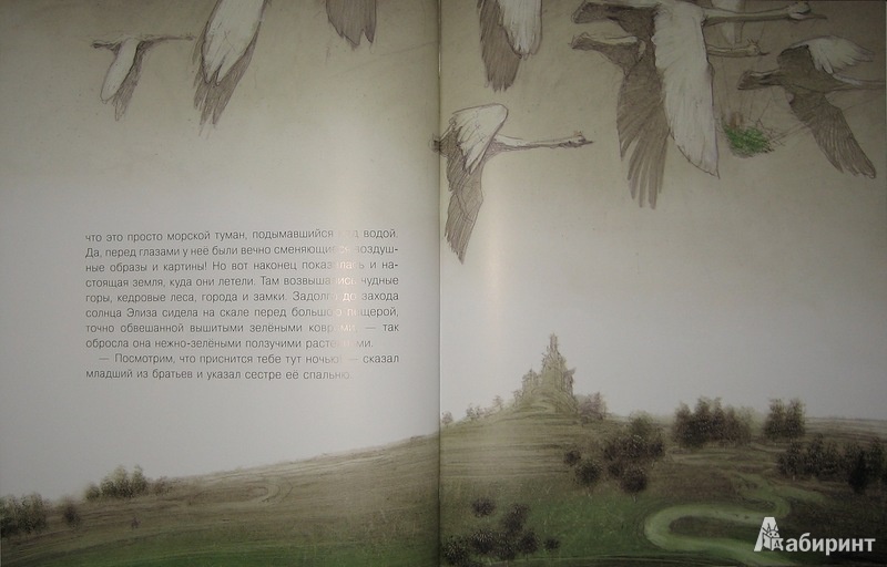 Иллюстрация 14 из 40 для Дикие лебеди - Ганс Андерсен | Лабиринт - книги. Источник: Трухина Ирина
