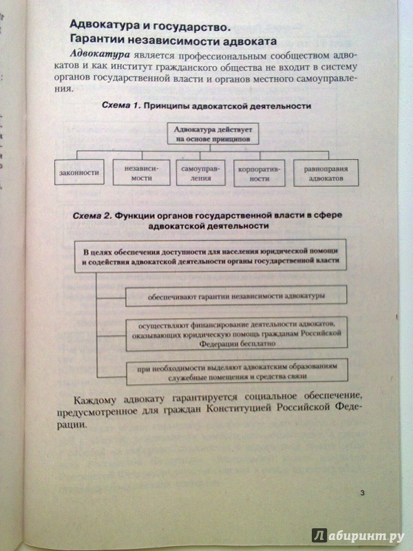 Иллюстрация 3 из 7 для Адвокатура России в схемах. Учебное пособие - Андрей Дмитриев | Лабиринт - книги. Источник: Sonya Summer