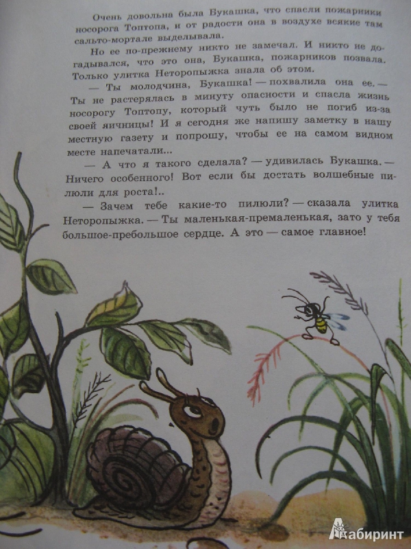 Иллюстрация 5 из 24 для Сказки в картинках В. Сутеева | Лабиринт - книги. Источник: Ольга