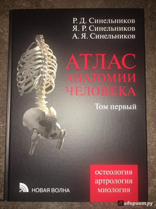 Анатомия года 2014. Атлас по анатомии Синельников 4 том. Синельников атлас анатомии 1 том. Атлас анатомии человека Синельников в 4-х томах. Атлас по анатомии Синельников 3 том.