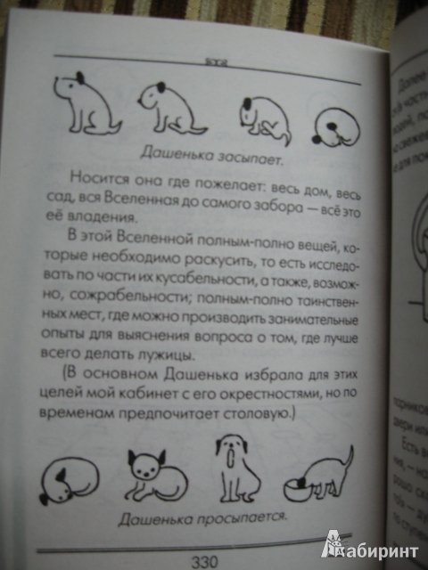 Иллюстрация 23 из 57 для Собачья сказка - Карел Чапек | Лабиринт - книги. Источник: Белкина  Виктория