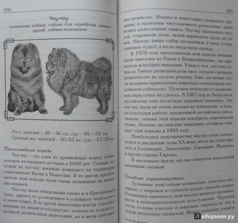 Иллюстрация 28 из 29 для Знакомьтесь, это ваша собака! | Лабиринт - книги. Источник: SiB