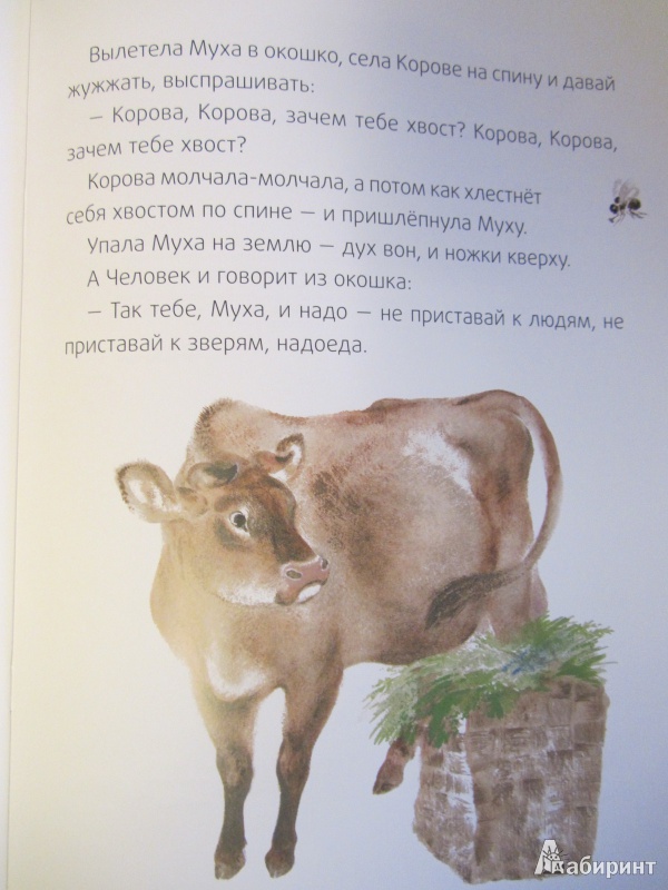 Иллюстрация 22 из 29 для Хвосты - Виталий Бианки | Лабиринт - книги. Источник: Сандракова Юля