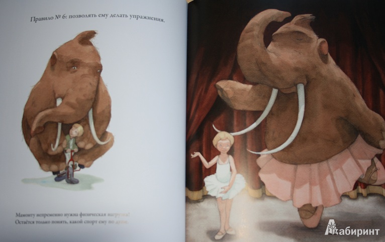 Иллюстрация 20 из 22 для Как воспитать домашнего мамонта - Квентин Гребан | Лабиринт - книги. Источник: КНИЖНОЕ ДЕТСТВО