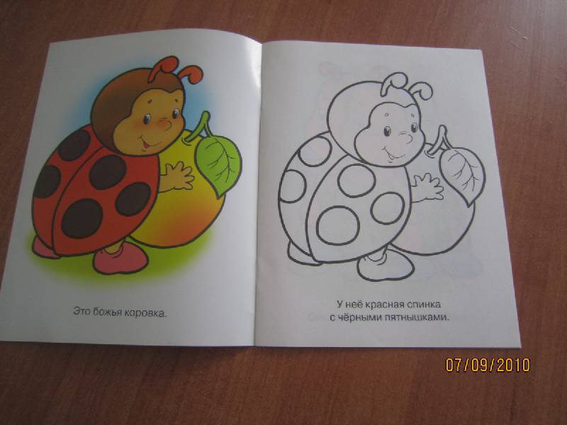 Иллюстрация 22 из 26 для Раскраска для малышей: Букашки. Божья коровка | Лабиринт - книги. Источник: elue