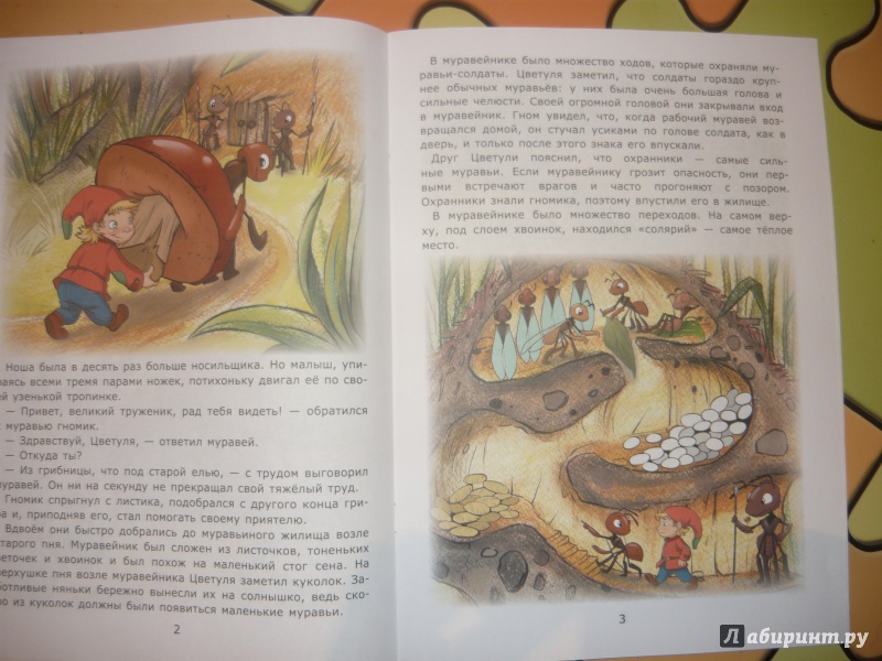Иллюстрация 11 из 16 для Гномик в муравейнике - Лариса Тарасенко | Лабиринт - книги. Источник: Костина  Наталья Алексеевна