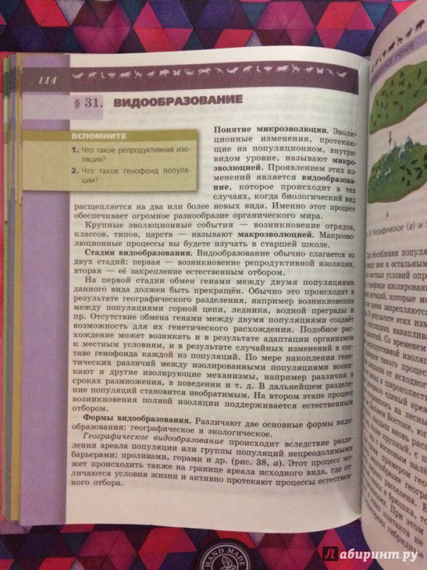Пересказ по биологии 5 класс параграф 15