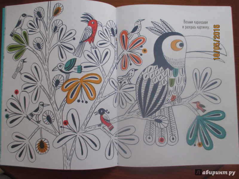 Иллюстрация 20 из 46 для Разноцветные джунгли. Раскраска с наклейками - Магали Аттиогбе | Лабиринт - книги. Источник: Марина Епифанцева