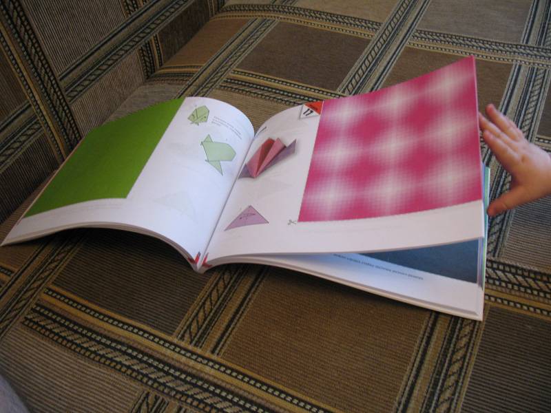Иллюстрация 24 из 26 для Оригами для начинающих (с набором цветной бумаги) - Ирина Богатова | Лабиринт - книги. Источник: К Л Я К С А