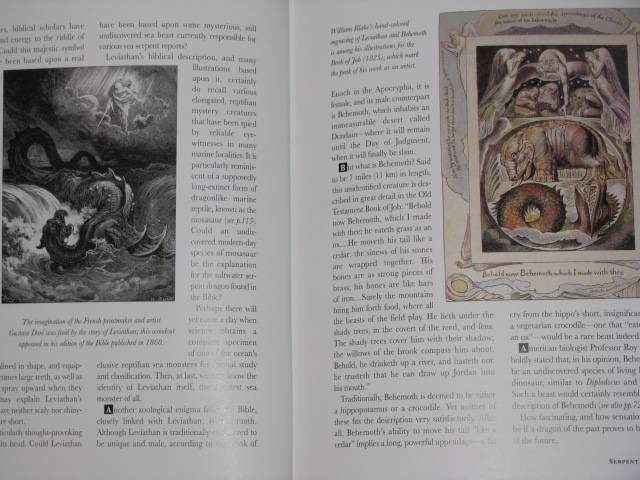 Иллюстрация 12 из 17 для Dragons. A natural history - Karl Shuker | Лабиринт - книги. Источник: Nemertona