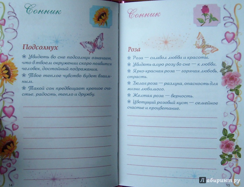 Иллюстрация 9 из 22 для Волшебный дневник для девочки | Лабиринт - книги. Источник: Александр Сколдин