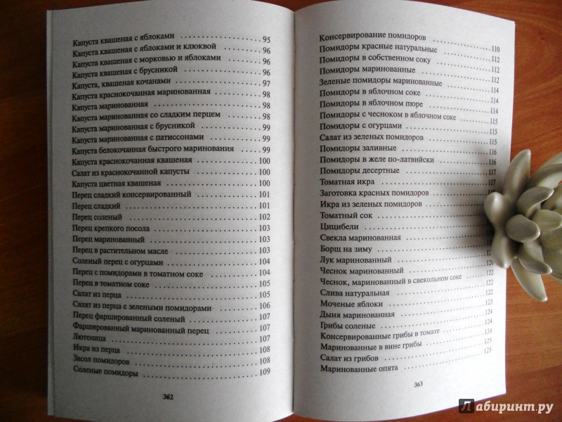 Иллюстрация 7 из 15 для Самые лучшие кулинарные рецепты от Октябрины Ганичкиной - Ганичкина, Ганичкин | Лабиринт - книги. Источник: Zabava