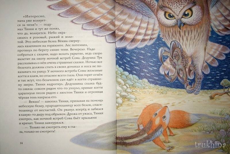 Иллюстрация 70 из 85 для Бельчонок Тинки - Тамара Михеева | Лабиринт - книги. Источник: Трухина Ирина