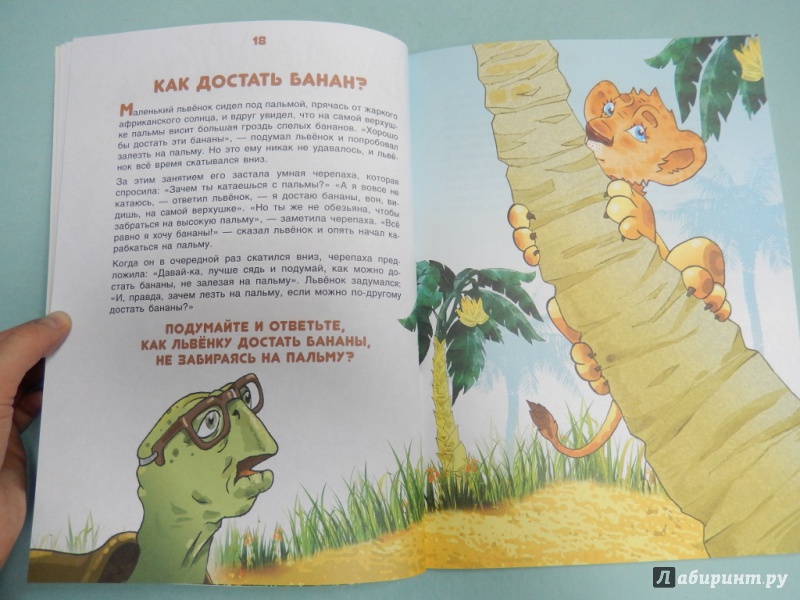Иллюстрация 6 из 31 для Большие открытия маленького львенка - Владимир Богат | Лабиринт - книги. Источник: dbyyb