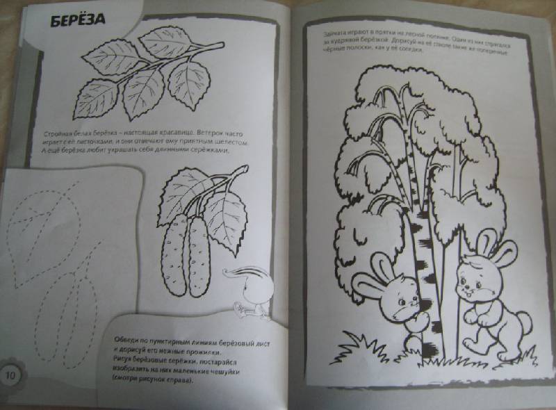 Иллюстрация 9 из 11 для Рисуем и раскрашиваем деревья и плоды | Лабиринт - книги. Источник: Tatka