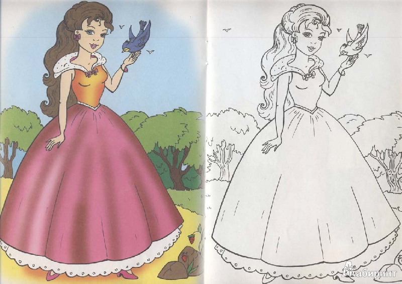Иллюстрация 8 из 19 для Принцессы на прогулке | Лабиринт - книги. Источник: Евгения Анатольевна
