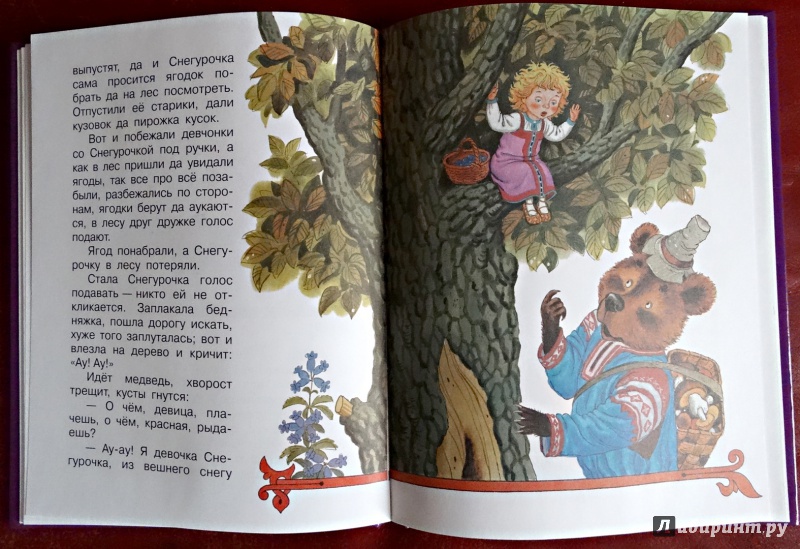 Иллюстрация 12 из 60 для Царевна-лягушка. Русские народные сказки | Лабиринт - книги. Источник: nata_romina