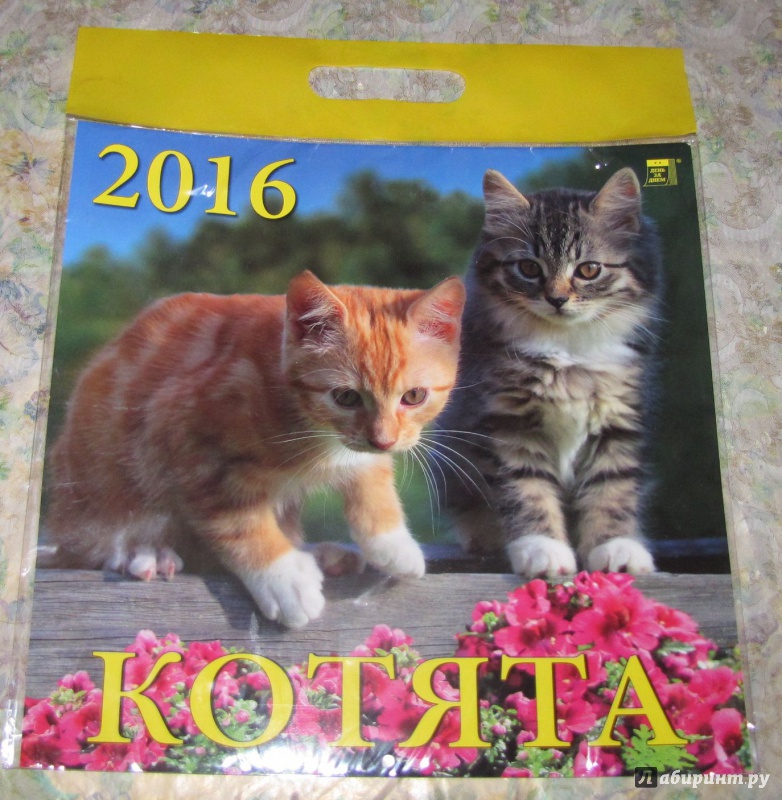 Иллюстрация 3 из 13 для Календарь настенный на 2016 год "Котята" (70605) | Лабиринт - сувениры. Источник: V  Marisha