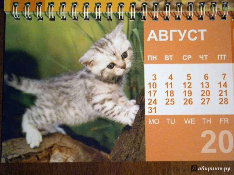 Иллюстрация 9 из 13 для Календарь-домик 2015 "Котята" | Лабиринт - сувениры. Источник: D8  _