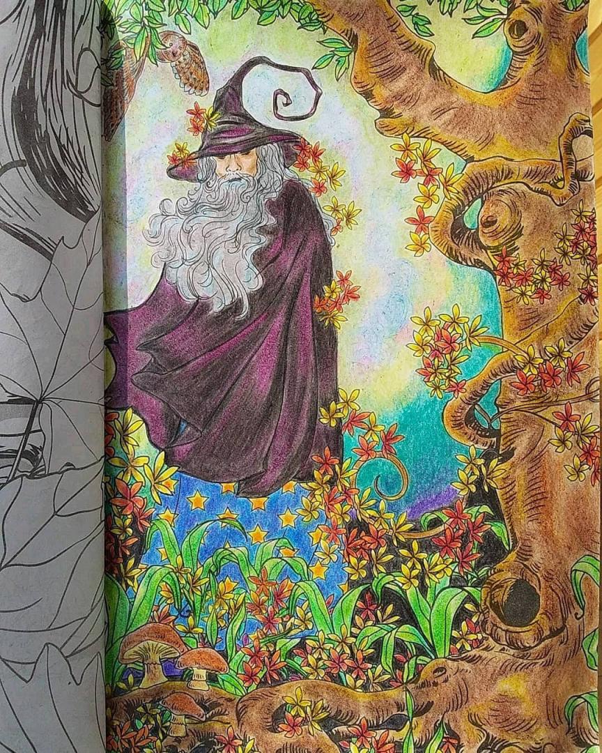 Иллюстрация 51 из 60 для Загадочный лес. Мини-раскраска-антистресс для творчества и вдохновения | Лабиринт - книги. Источник: Лабиринт