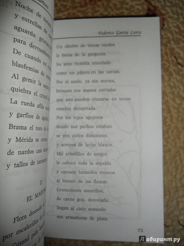 Иллюстрация 4 из 18 для Romancero Gitano - Federico Lorca | Лабиринт - книги. Источник: D