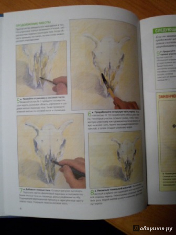 Иллюстрация 21 из 49 для Как научиться рисовать животных. Шаг за шагом | Лабиринт - книги. Источник: Optimistka