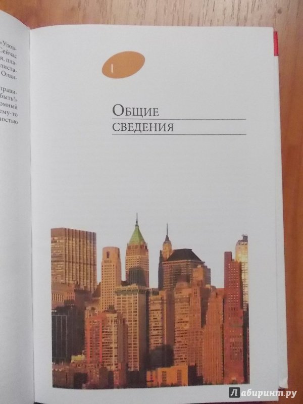 Иллюстрация 14 из 28 для Все о Нью-Йорке - Юрий Чернецкий | Лабиринт - книги. Источник: Mylene