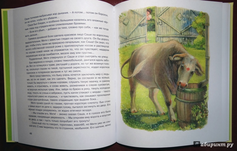 Иллюстрация 29 из 38 для Рассказы для детей - Юрий Нагибин | Лабиринт - книги. Источник: nata_romina