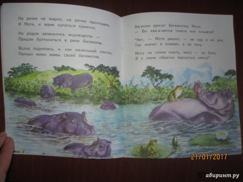 Иллюстрация 28 из 32 для Слонёнок Санни - Владимир Борисов | Лабиринт - книги. Источник: Марина Епифанцева