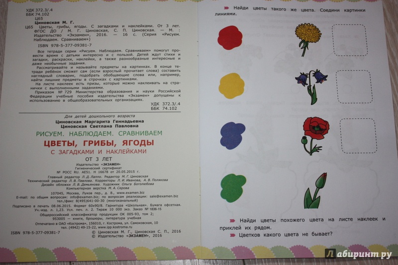 Иллюстрация 2 из 8 для Цветы, грибы, ягоды с загадками и наклейками. ФГОС ДО - Циновская, Циновская | Лабиринт - книги. Источник: Ksuh