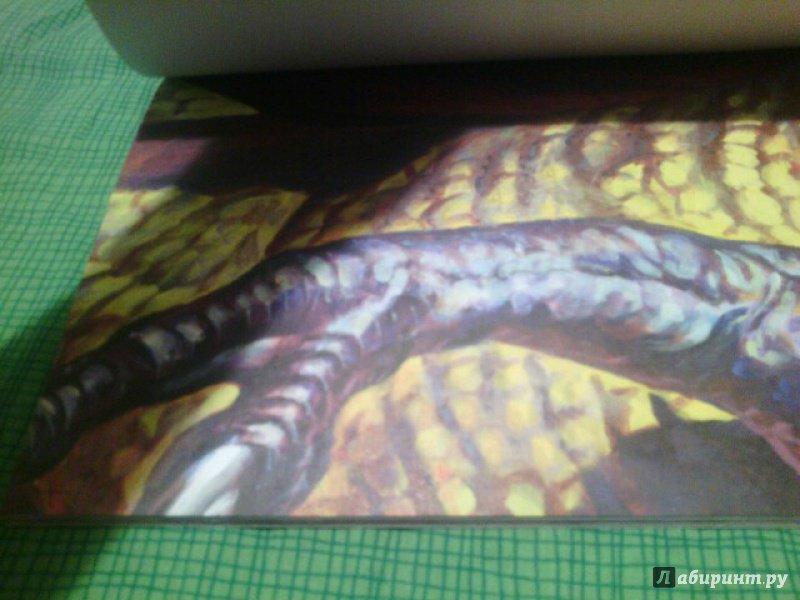 Иллюстрация 10 из 16 для Тираннозавр Рекс. Супермега-постер | Лабиринт - книги. Источник: Космос