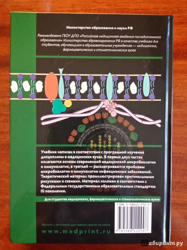 Иллюстрация 21 из 40 для Медицинская микробиология и иммунология. Учебник - Мальцев, Пашков | Лабиринт - книги. Источник: olegiv