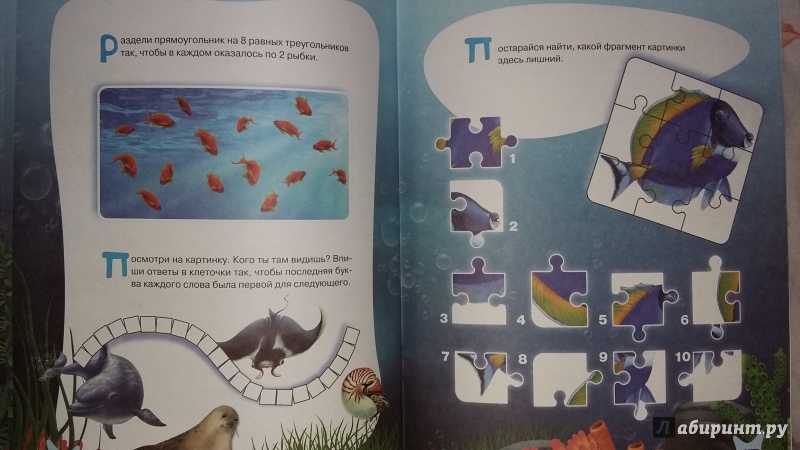 Иллюстрация 8 из 16 для Головоломки подводного мира | Лабиринт - книги. Источник: Четвертухина  Ирина