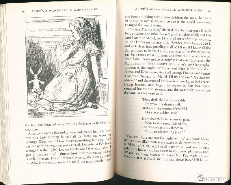 Иллюстрация 31 из 36 для Alices Adventures in Wonderland & Through the Looking-Glass - Lewis Carroll | Лабиринт - книги. Источник: Rishka Amiss