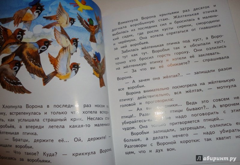 Иллюстрация 23 из 25 для Сказочка про Воронушку - черную головушку и желтую птичку Канарейку - Дмитрий Мамин-Сибиряк | Лабиринт - книги. Источник: blackbunny33