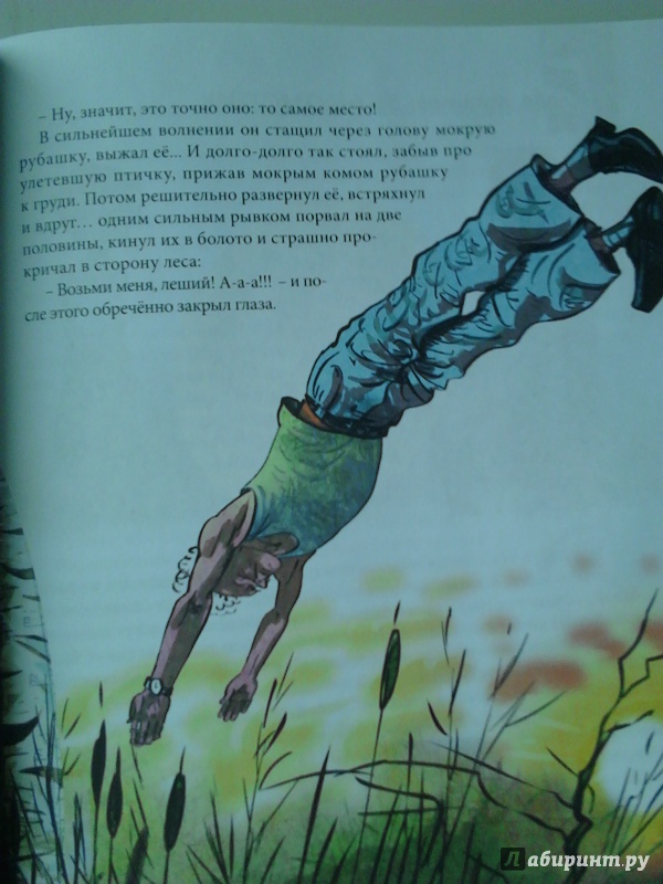 Иллюстрация 6 из 25 для Грибабушка, или Немножко колдовства - Андрей Зинчук | Лабиринт - книги. Источник: Lolo