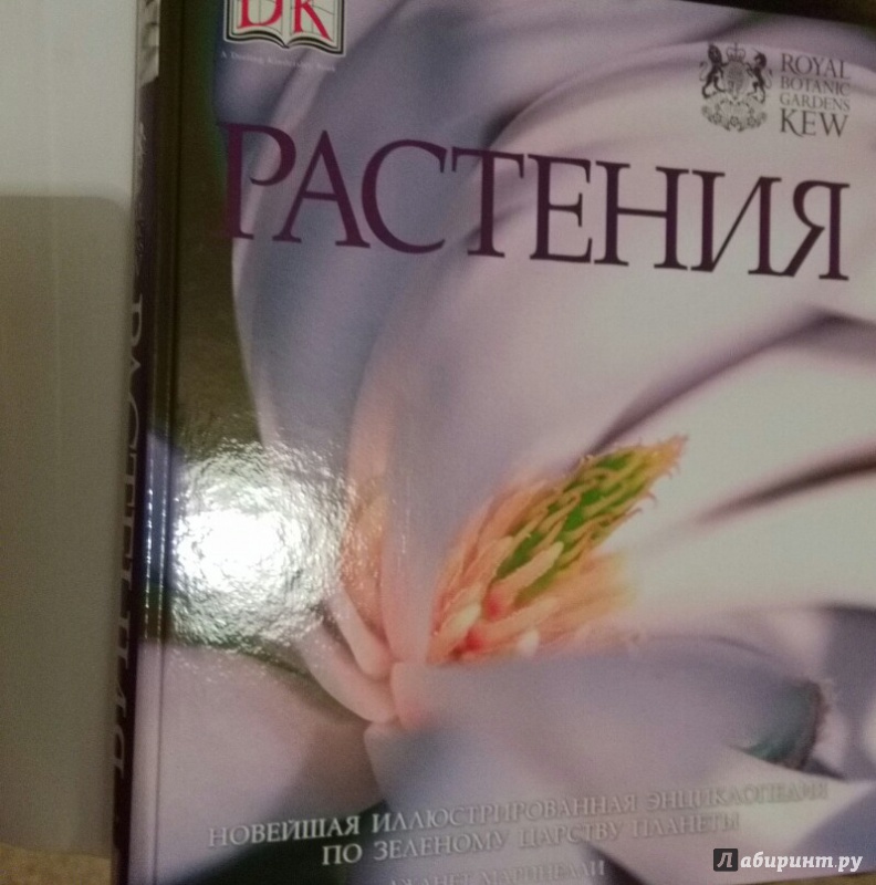 Иллюстрация 8 из 8 для Растения. Самая полная энциклопедия | Лабиринт - книги. Источник: )  Катюша