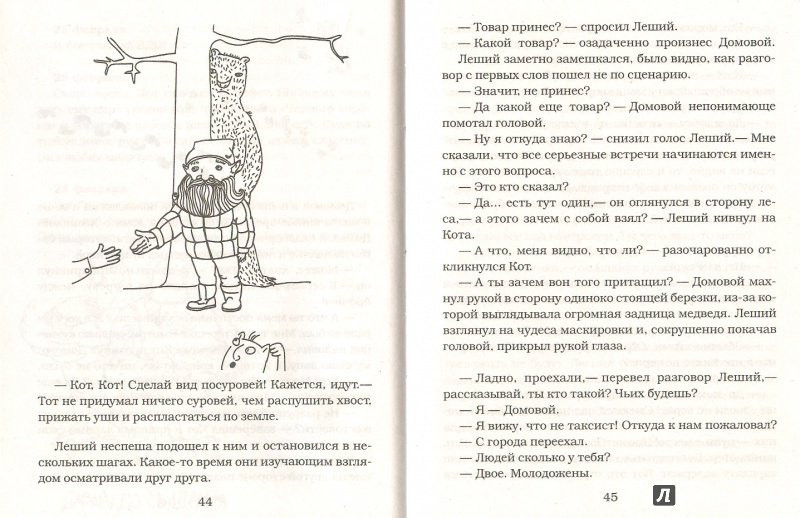 Иллюстрация 43 из 46 для Дневник домового - Евгений Чеширко | Лабиринт - книги. Источник: Яровая Ирина