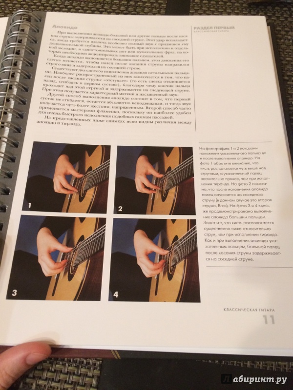 Иллюстрация 15 из 19 для Классическая гитара: справочник-самоучитель (+CD) - Дэвид Брэйд | Лабиринт - книги. Источник: Варге  Кристина